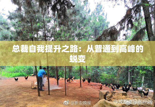总裁自我提升之路：从普通到高峰的蜕变