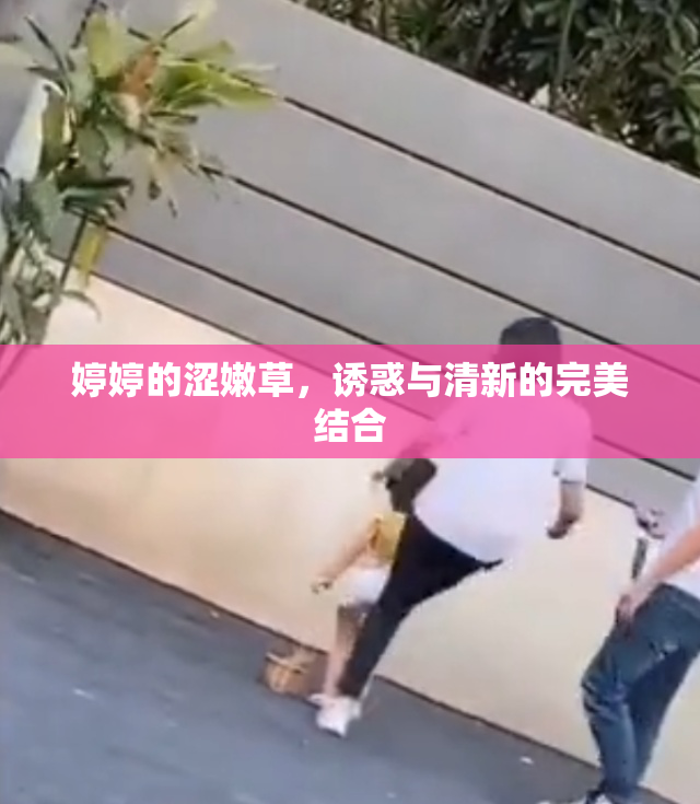 婷婷的涩嫩草，诱惑与清新的完美结合