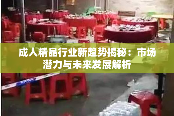 成人精品行业新趋势揭秘：市场潜力与未来发展解析