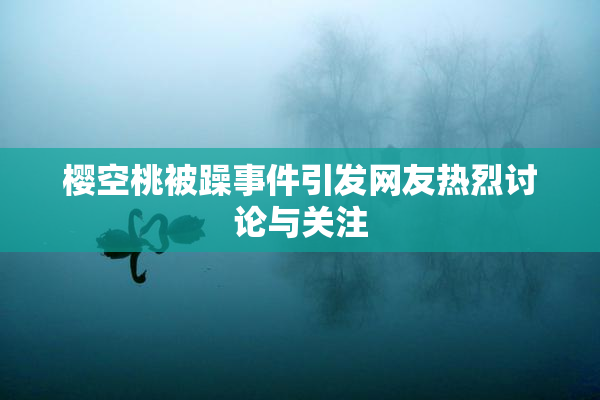 樱空桃被躁事件引发网友热烈讨论与关注