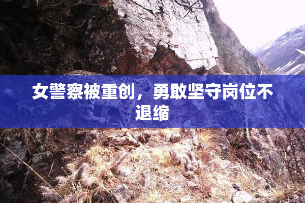 女警察被重创，勇敢坚守岗位不退缩
