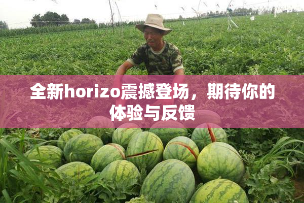 全新horizo震撼登场，期待你的体验与反馈