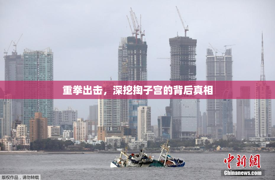 重拳出击，深挖掏子宫的背后真相