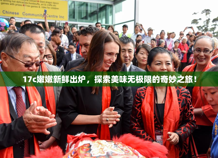 17c嫩嫩新鲜出炉，探索美味无极限的奇妙之旅！