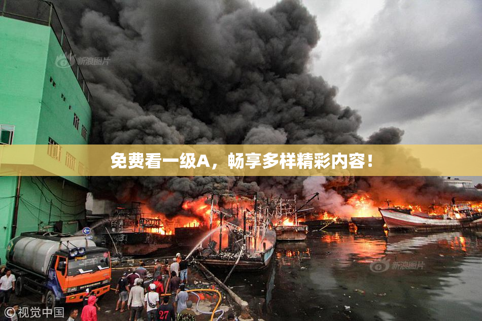 免费看一级A，畅享多样精彩内容！