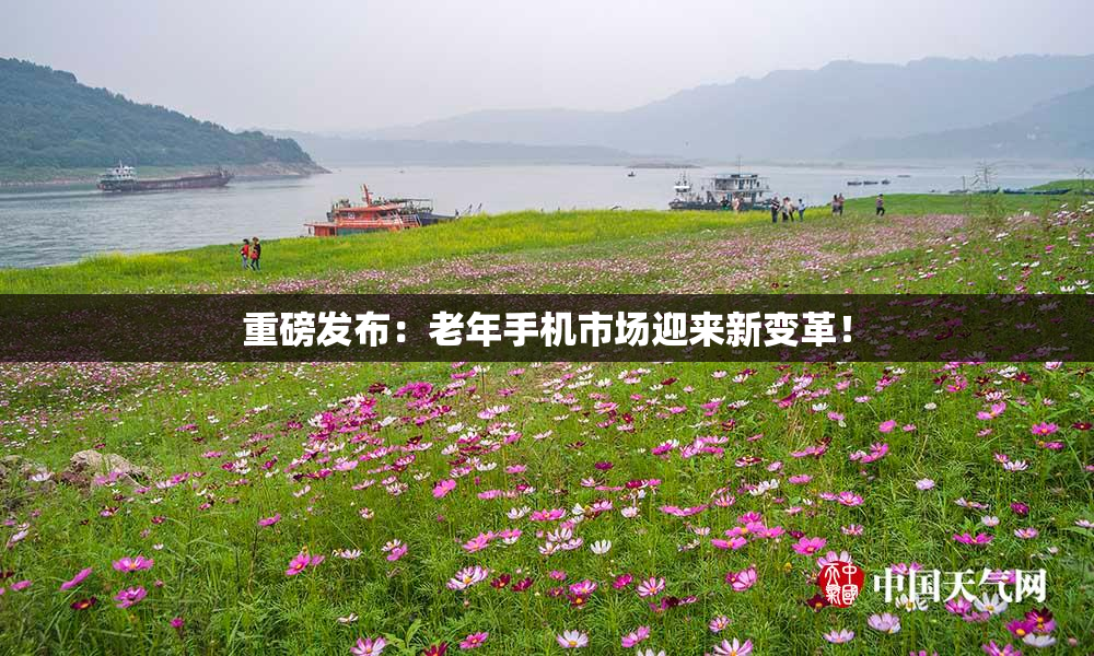 重磅发布：老年手机市场迎来新变革！