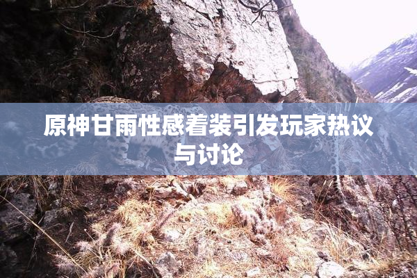 原神甘雨性感着装引发玩家热议与讨论