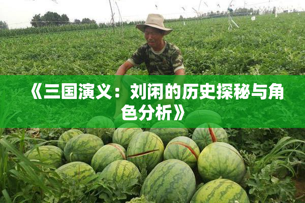 《三国演义：刘闲的历史探秘与角色分析》