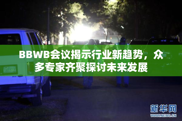 BBWB会议揭示行业新趋势，众多专家齐聚探讨未来发展