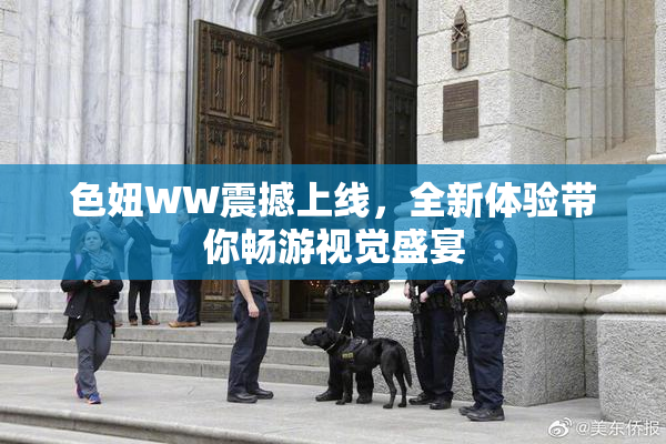 色妞WW震撼上线，全新体验带你畅游视觉盛宴