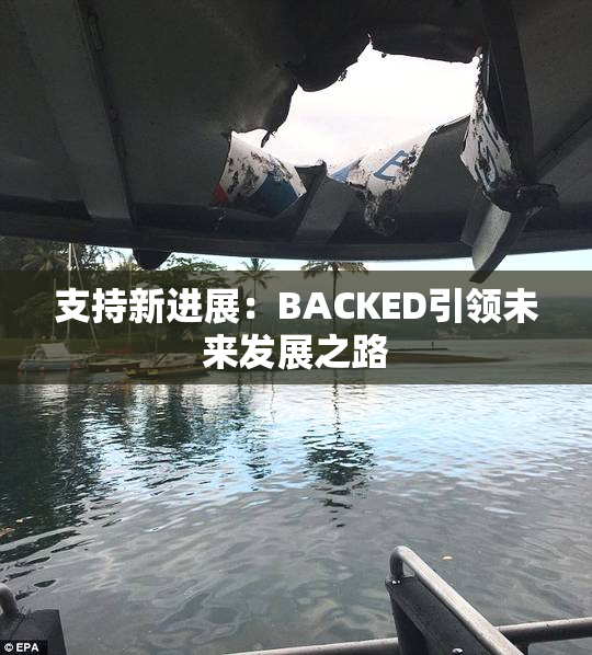 支持新进展：BACKED引领未来发展之路