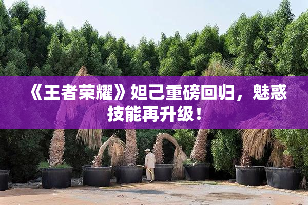 《王者荣耀》妲己重磅回归，魅惑技能再升级！