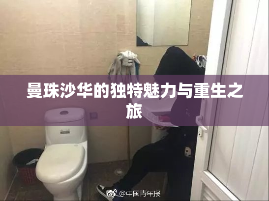 曼珠沙华的独特魅力与重生之旅
