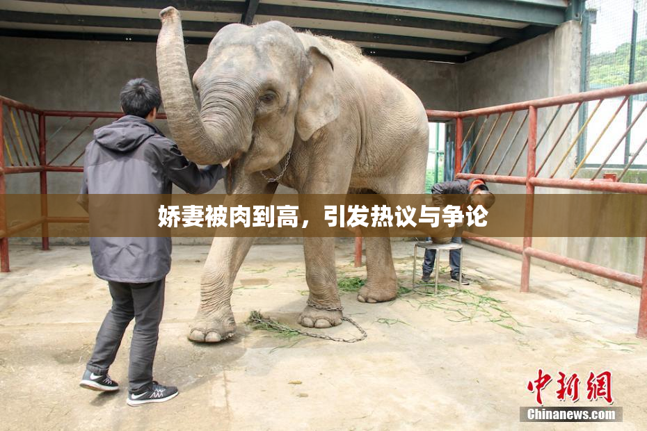 娇妻被肉到高，引发热议与争论