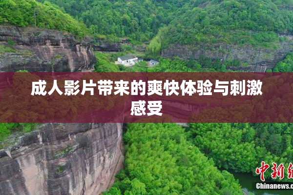 成人影片带来的爽快体验与刺激感受