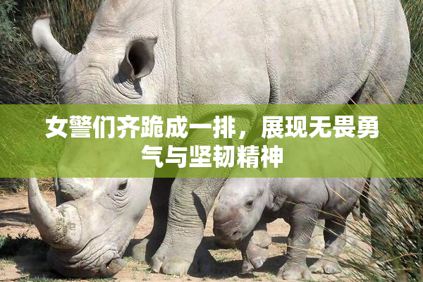 女警们齐跪成一排，展现无畏勇气与坚韧精神