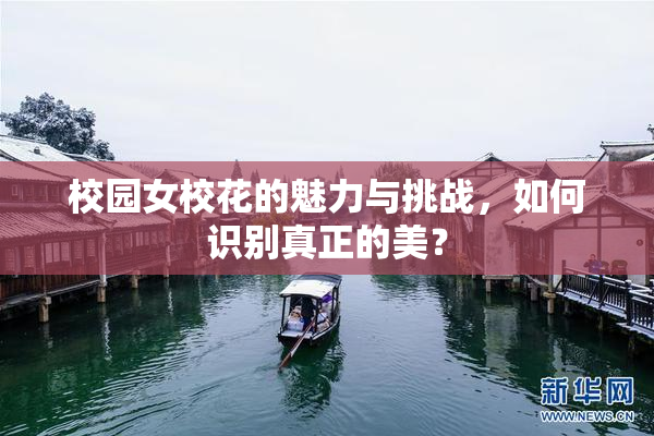 校园女校花的魅力与挑战，如何识别真正的美？
