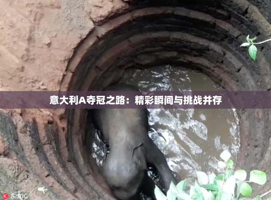 意大利A夺冠之路：精彩瞬间与挑战并存