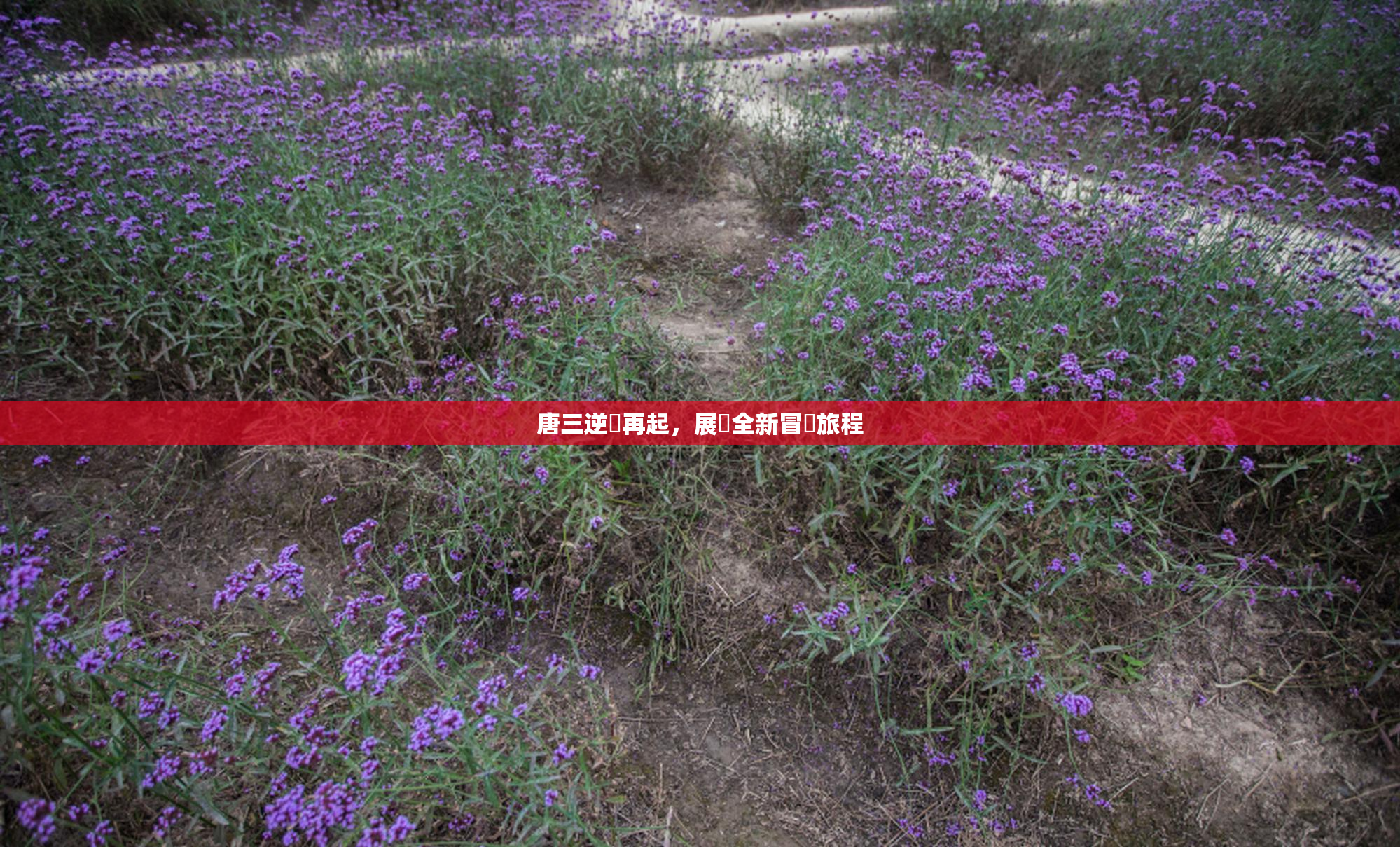 唐三逆襲再起，展現全新冒險旅程