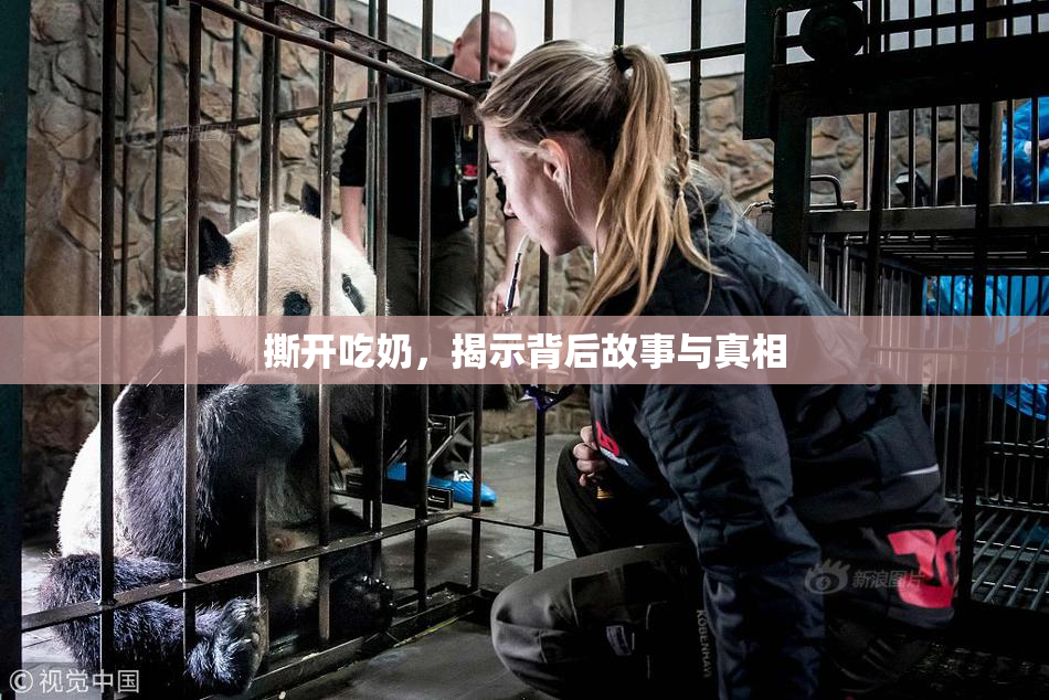 撕开吃奶，揭示背后故事与真相