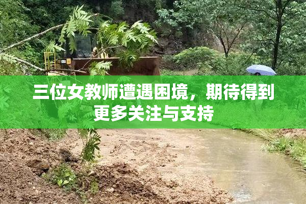 三位女教师遭遇困境，期待得到更多关注与支持