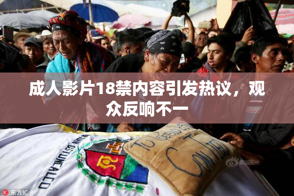 成人影片18禁内容引发热议，观众反响不一