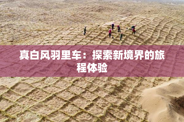 真白风羽里车：探索新境界的旅程体验