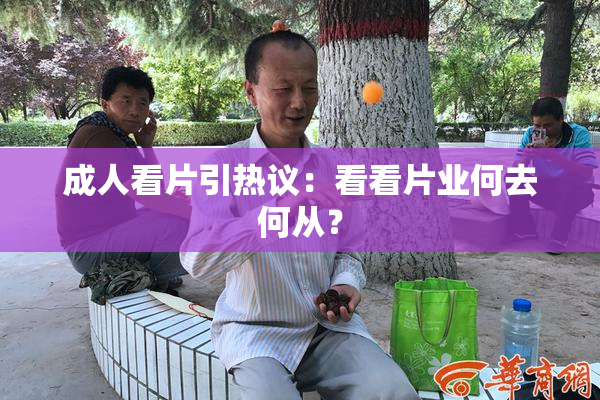 成人看片引热议：看看片业何去何从？