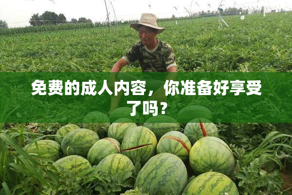 免费的成人内容，你准备好享受了吗？