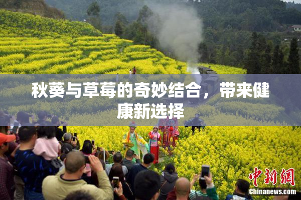 秋葵与草莓的奇妙结合，带来健康新选择