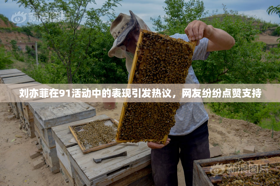 刘亦菲在91活动中的表现引发热议，网友纷纷点赞支持