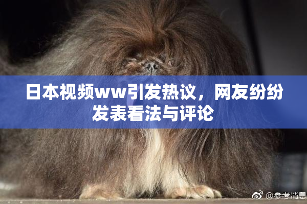 日本视频ww引发热议，网友纷纷发表看法与评论