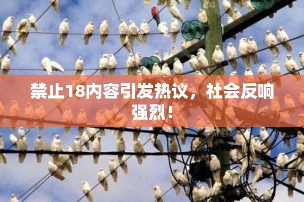 禁止18内容引发热议，社会反响强烈！