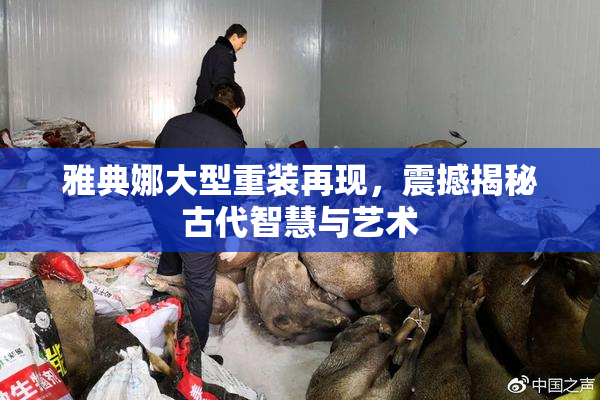 雅典娜大型重装再现，震撼揭秘古代智慧与艺术