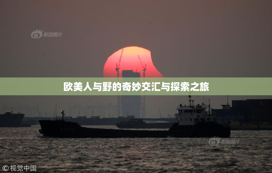 欧美人与野的奇妙交汇与探索之旅