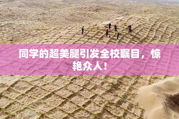 同学的超美腿引发全校瞩目，惊艳众人！