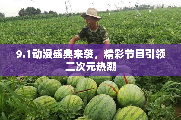 9.1动漫盛典来袭，精彩节目引领二次元热潮