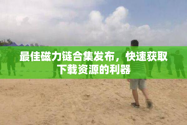 最佳磁力链合集发布，快速获取下载资源的利器