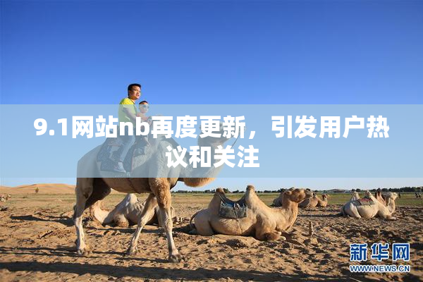 9.1网站nb再度更新，引发用户热议和关注