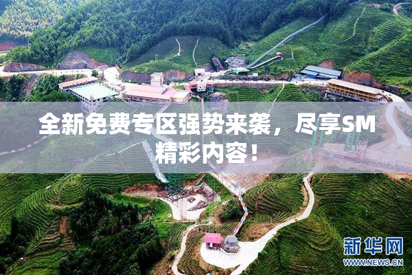 全新免费专区强势来袭，尽享SM精彩内容！
