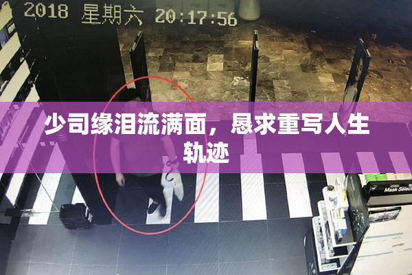 少司缘泪流满面，恳求重写人生轨迹