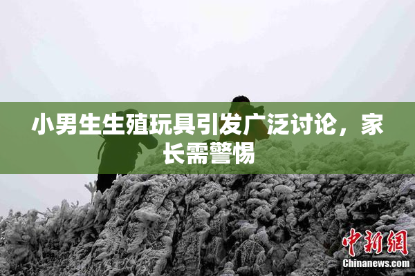 小男生生殖玩具引发广泛讨论，家长需警惕
