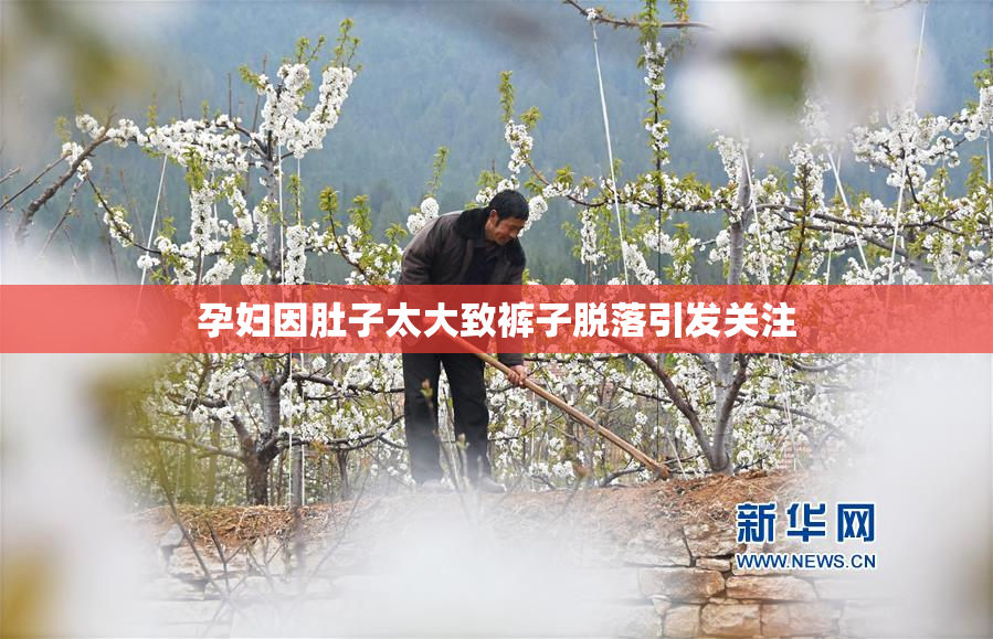 孕妇因肚子太大致裤子脱落引发关注