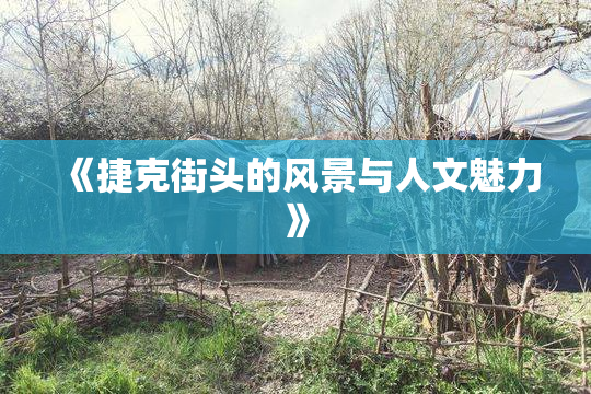 《捷克街头的风景与人文魅力》