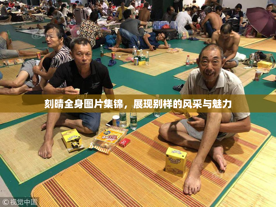 刻晴全身图片集锦，展现别样的风采与魅力