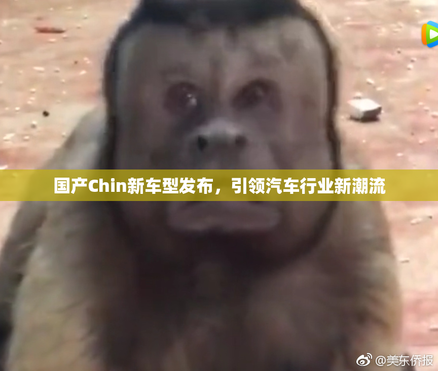 国产Chin新车型发布，引领汽车行业新潮流