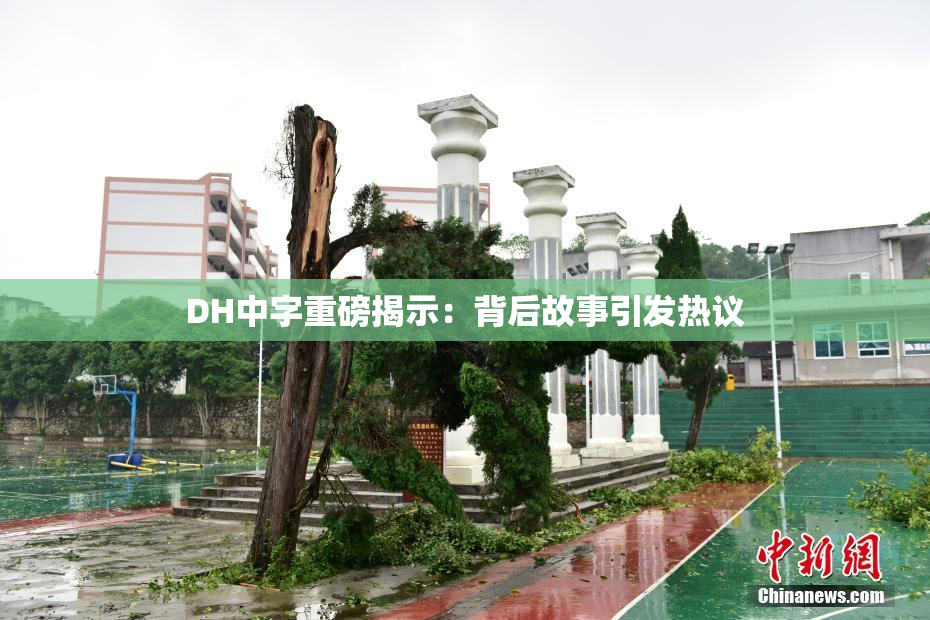 DH中字重磅揭示：背后故事引发热议
