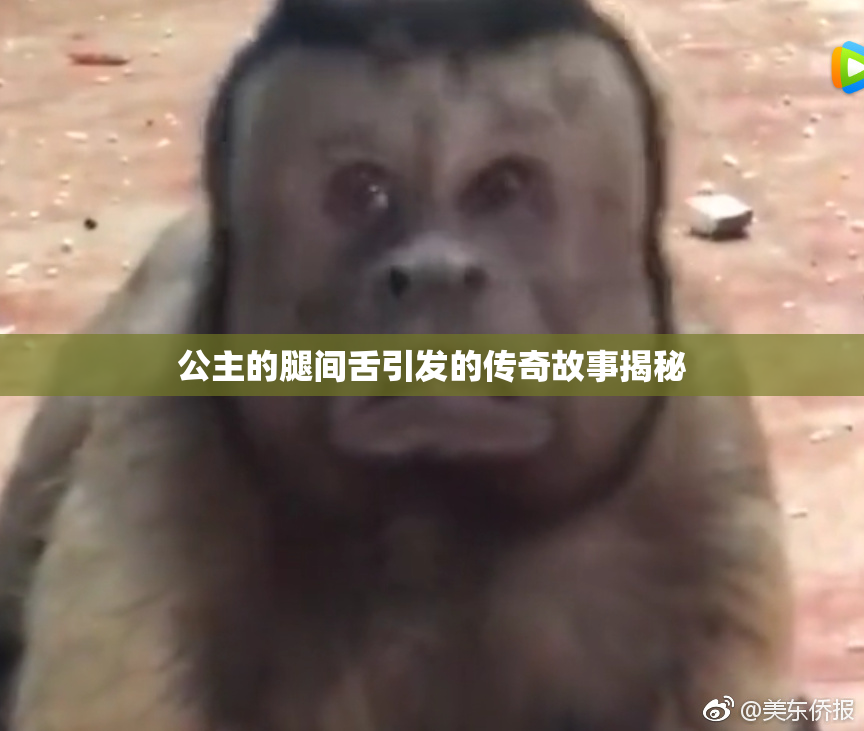 公主的腿间舌引发的传奇故事揭秘