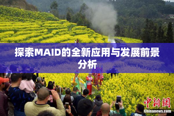 探索MAID的全新应用与发展前景分析