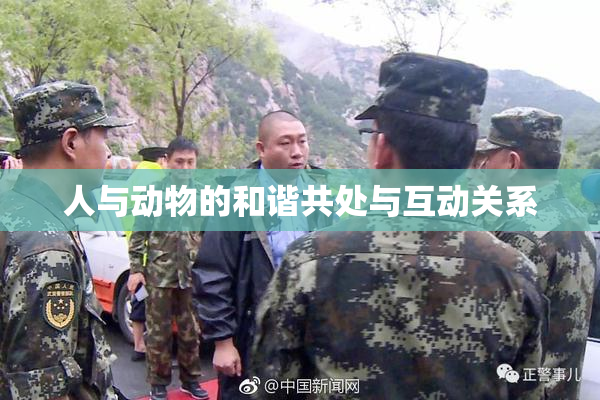 人与动物的和谐共处与互动关系